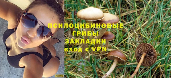 гидра Баксан
