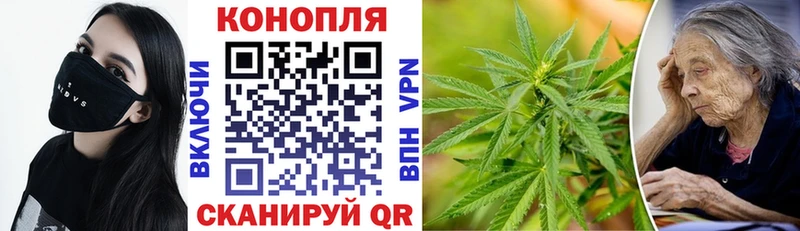 Купить Пустошка МАРИХУАНА THC 21%